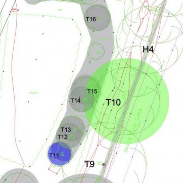 Tree Survey
